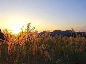 ザ カシハラ （THE KASHIHARA 【旧店名】橿原ロイヤルホテル）