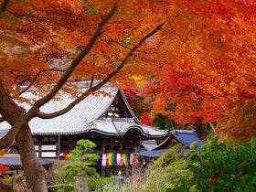 ザ カシハラ （THE KASHIHARA 【旧店名】橿原ロイヤルホテル）