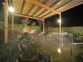 ロイヤルホテル 富山砺波