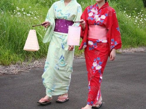 【自然】提灯片手に蛍鑑賞は如何ですか？