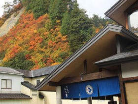 四季彩の宿 ふる里