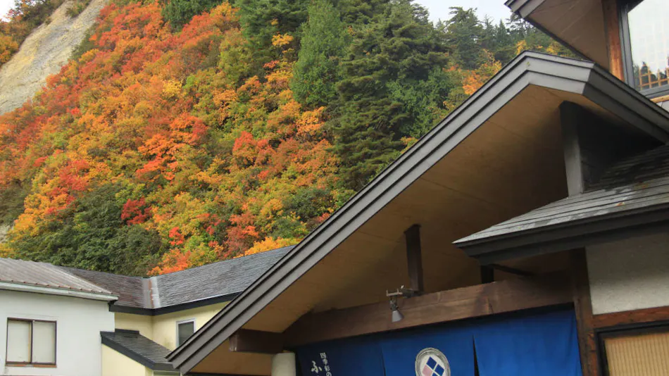 Furusato Inn of Four Seasons Colors