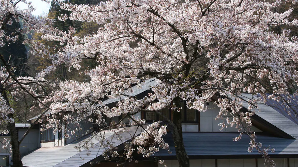 Furusato Inn of Four Seasons Colors