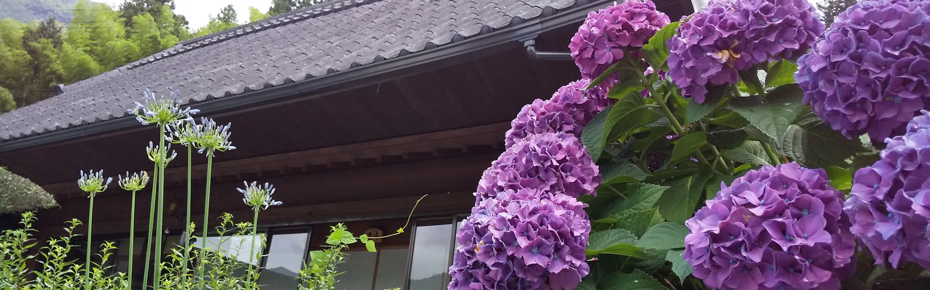 祖谷の宿 かずらや