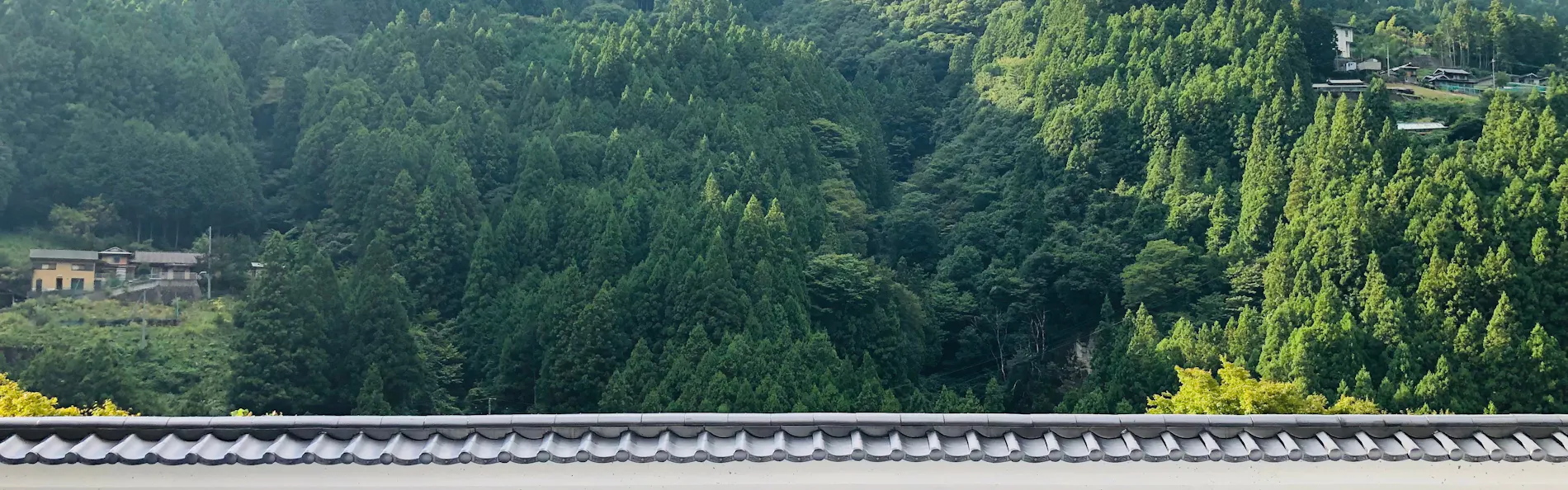 祖谷の宿 かずらや