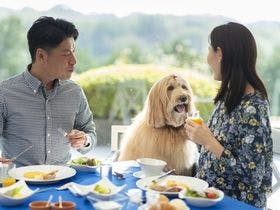 海を望む ペットと泊まれる宿 Wan S Resort ワンズリゾート 城ヶ崎海岸 伊豆高原 の空室状況を確認する 宿泊予約は 一休 Com