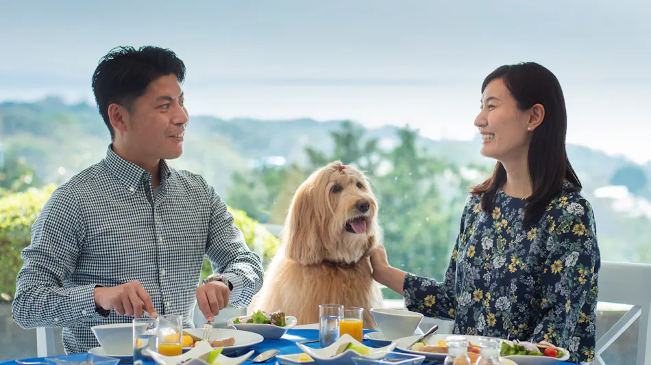 Wan Wan Paradise Premier Izukogen