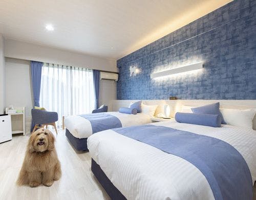 海を望む ペットと泊まれる宿 Wan S Resort ワンズリゾート 城ヶ崎海岸 伊豆高原 の施設情報 His旅プロ 国内旅行ホテル最安値予約