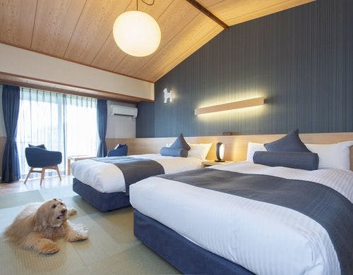 海を望む ペットと泊まれる宿 Wan S Resort ワンズリゾート 城ヶ崎海岸 伊豆高原 の施設情報 His旅プロ 国内旅行ホテル最安値予約