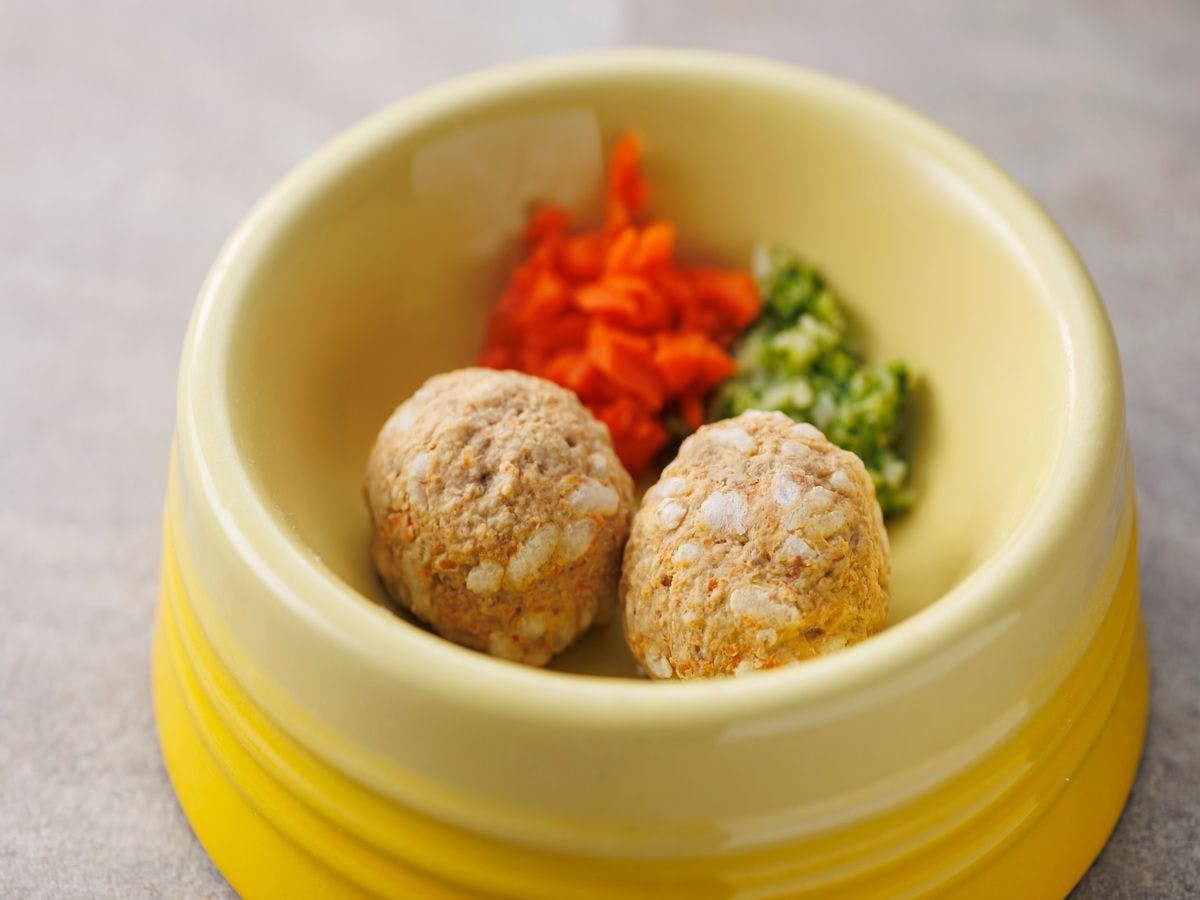 わんわんパラダイス プレミア 伊豆高原
