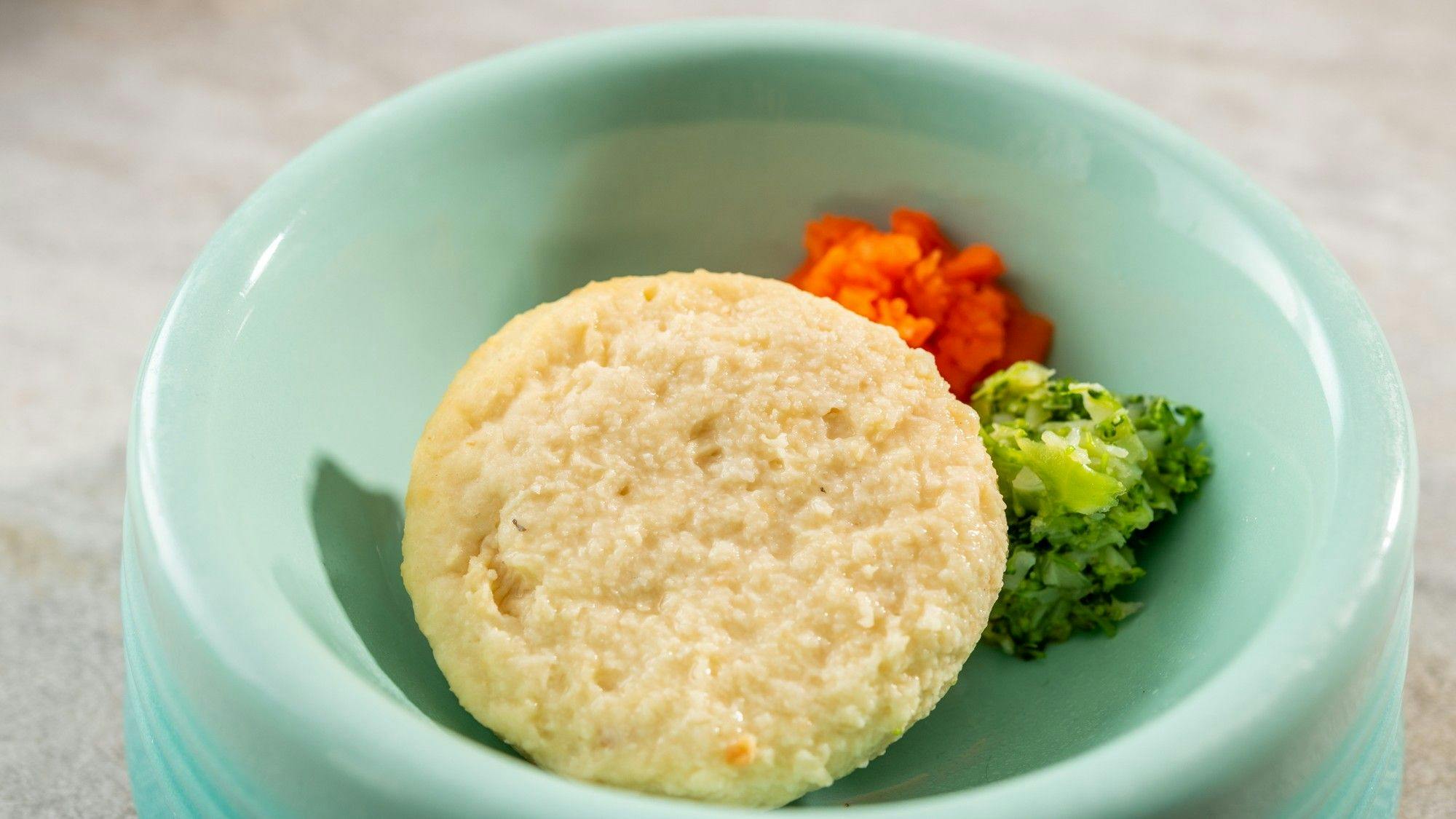 わんわんパラダイス プレミア 伊豆高原