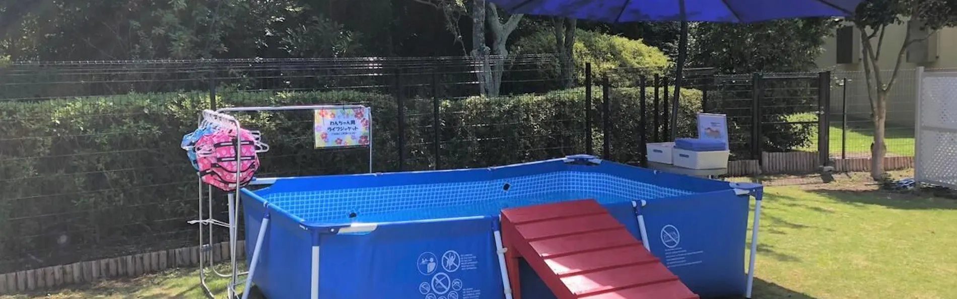 わんわんパラダイス プレミア 伊豆高原