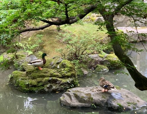 指定名勝　庭園