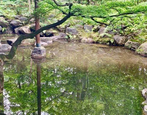指定名勝　庭園　池に反響する景色