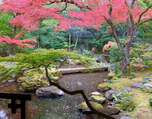 指定名勝　庭園　紅葉