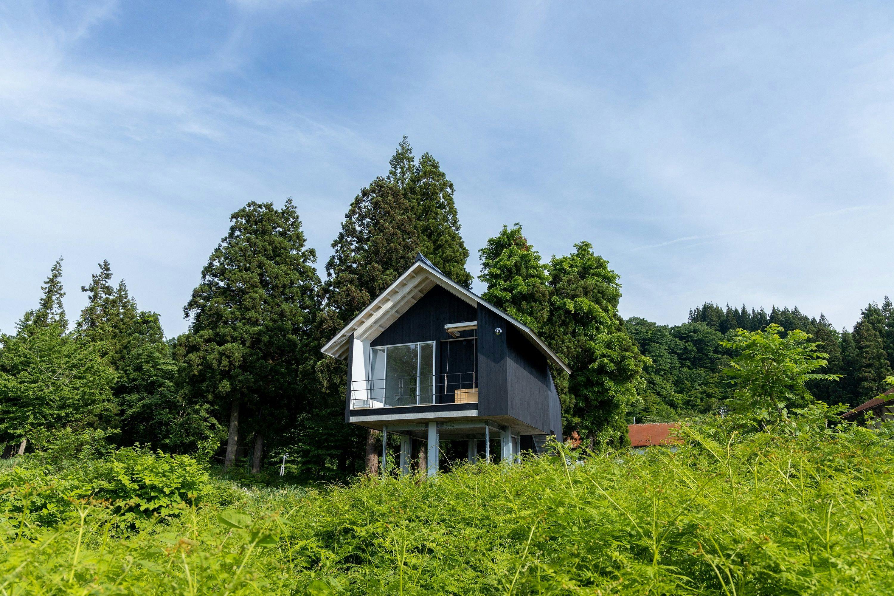 醸す森【kamosu mori】