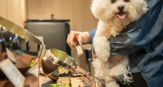 【愛犬と愉しむ】季節替わりの特選和会席と愛犬ブッフェで至高のひとときを