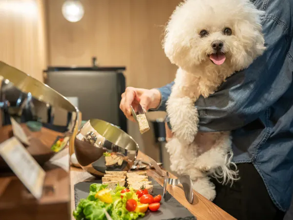 【早割30】最大40,000円OFF!ワンドリンクサービスの特典付き!愛犬と至高のひとときを