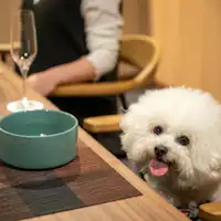 個室ダイニング