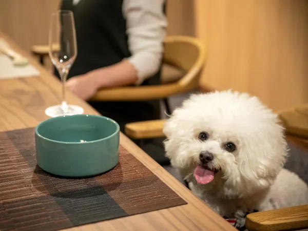 【早割30】最大40,000円OFF!ワンドリンクサービスの特典付き!愛犬と至高のひとときを