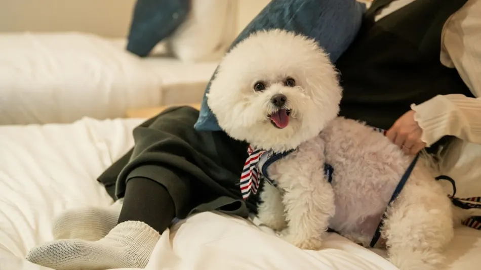 R with dog