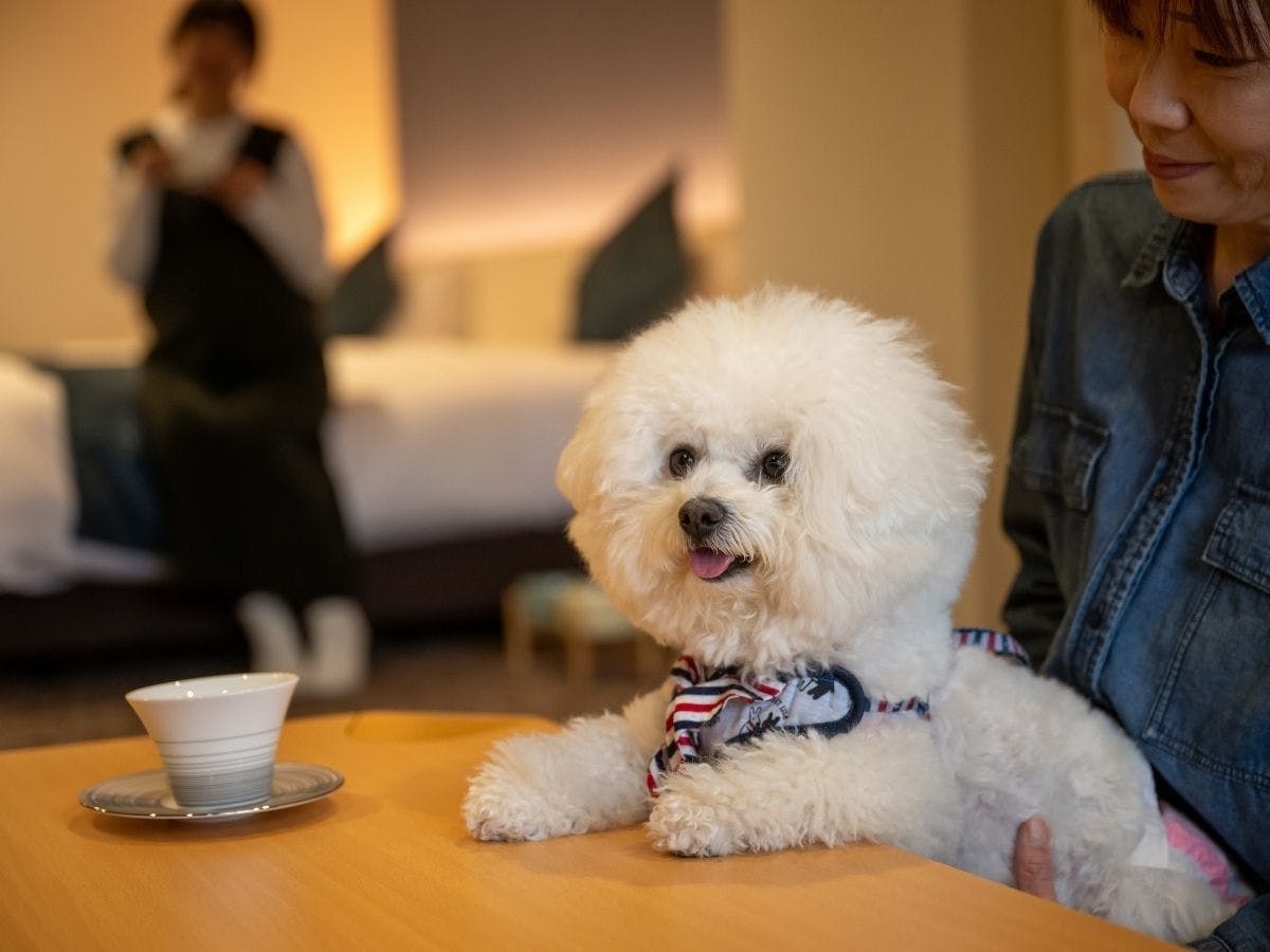 わんちゃんも一緒にくつろぎタイム