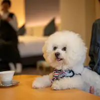 わんちゃんも一緒にくつろぎタイム