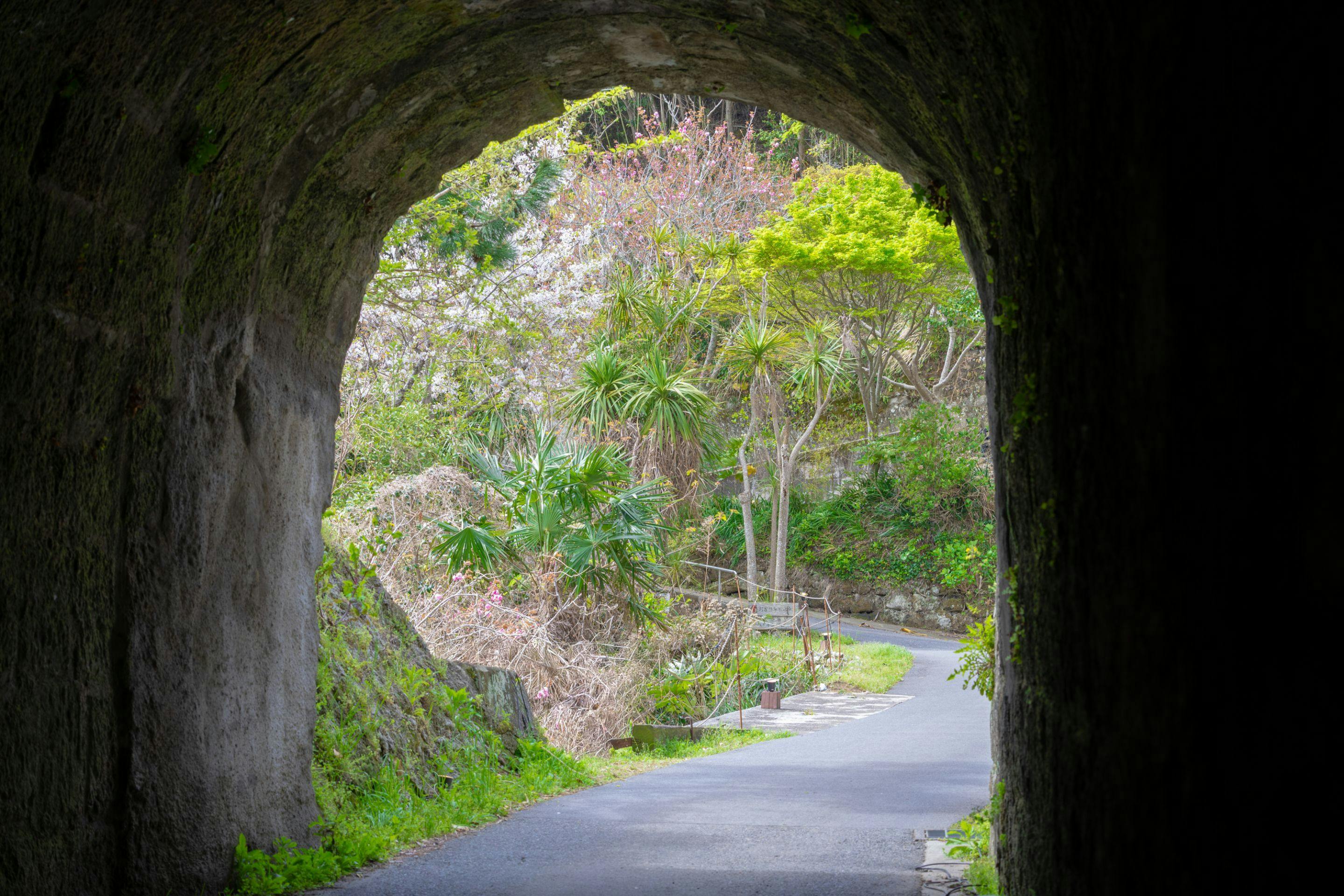 磯香の湯宿　鵜原館
