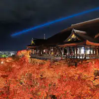 교토 단풍