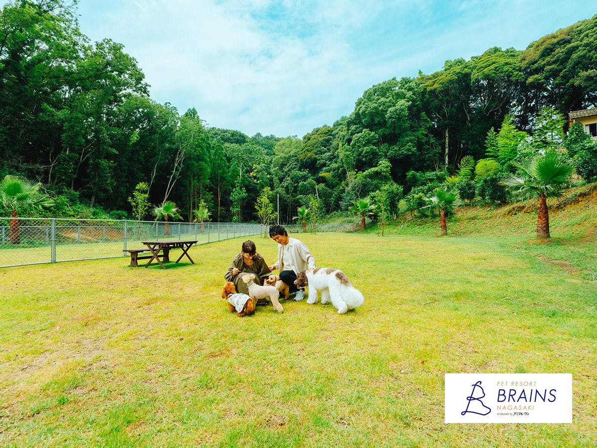 Pet Resort Brains Nagasaki