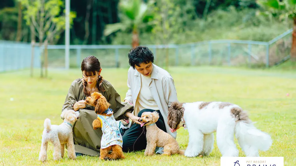 Pet Resort Brains Nagasaki