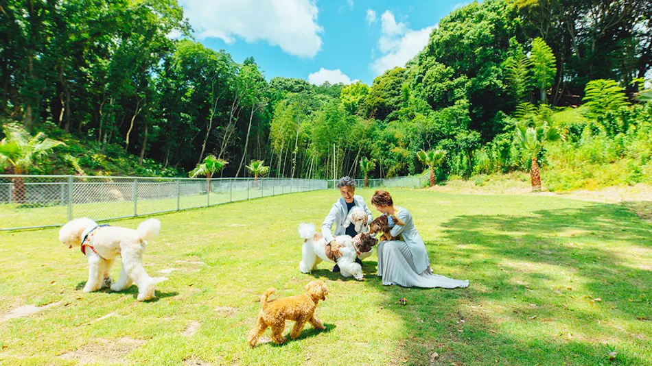 Pet Resort Brains Nagasaki