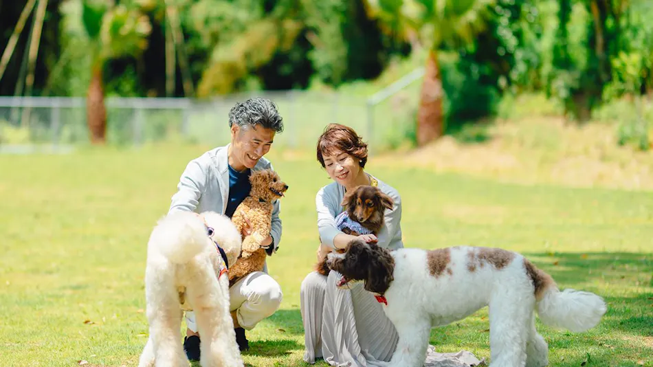 Pet Resort Brains Nagasaki