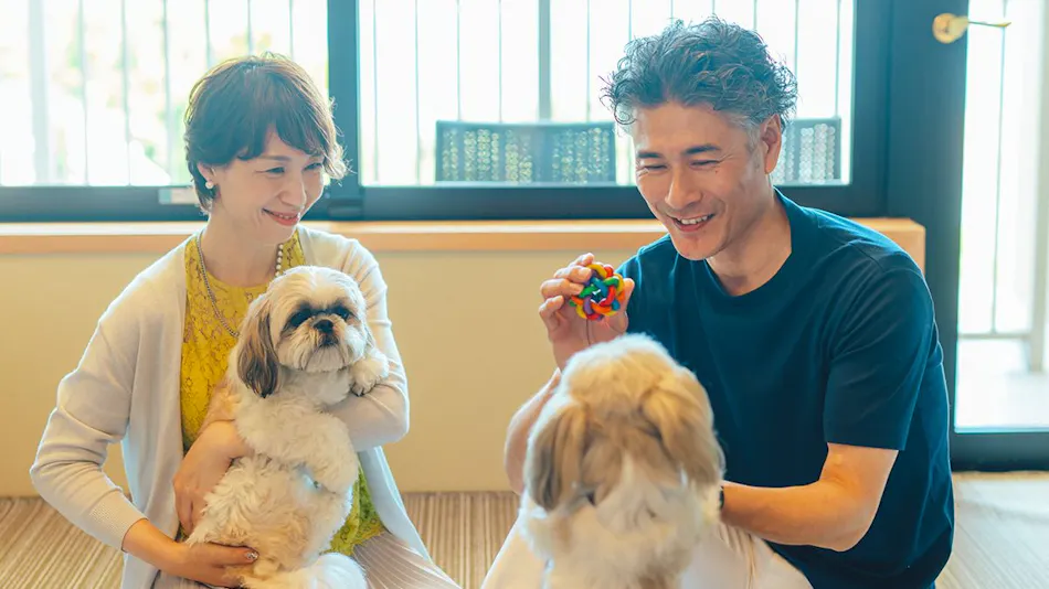 Pet Resort Brains Nagasaki