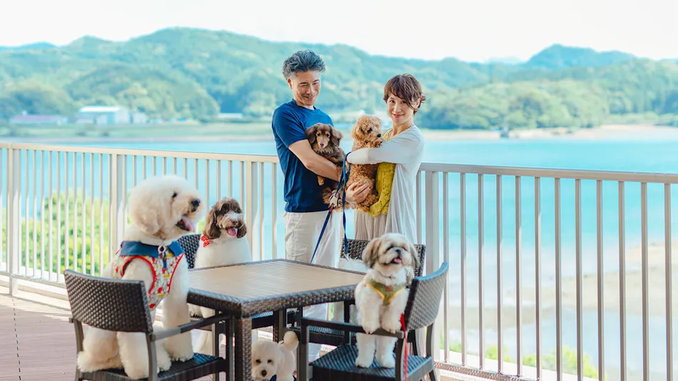Pet Resort Brains Nagasaki