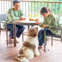 【オールインクルーシブ】