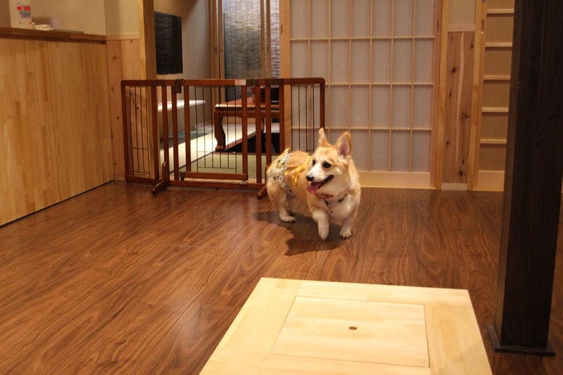 京一軒町家　染　SEN　七条花畑　【ドッグフレンドリー】