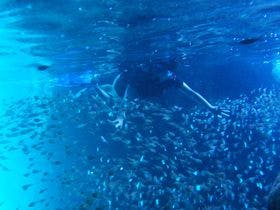 ラグーンヴィラ 龍星