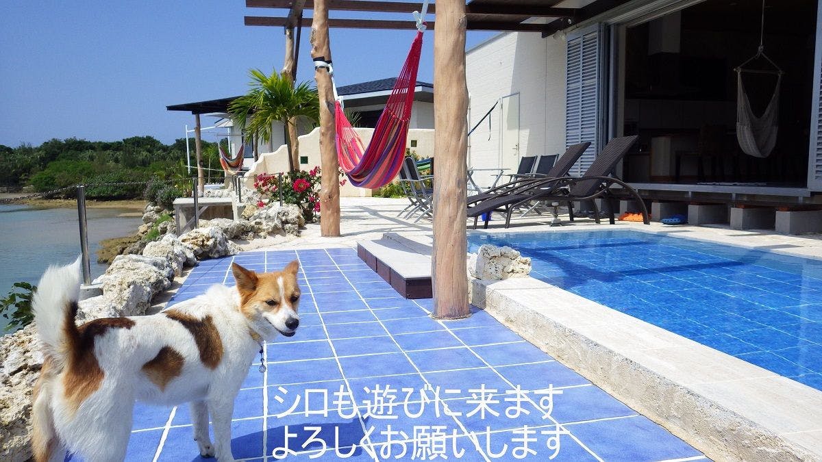 LagoonVilla　龍星