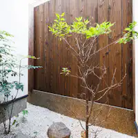 ลานกลางแจ้ง "ซากุระ"