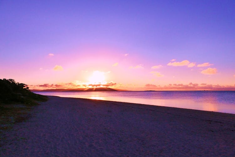 竹富島 茜屋 宿泊予約なら Yahoo トラベル 竹富島 茜屋 宿泊予約なら Yahoo トラベル