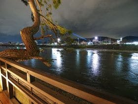 京都鴨川のお宿 たまみ