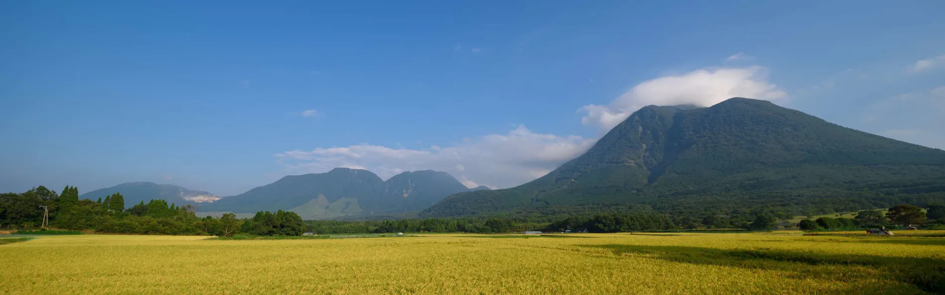 Sense of wonder 由布岳山麓グランピング・リゾート