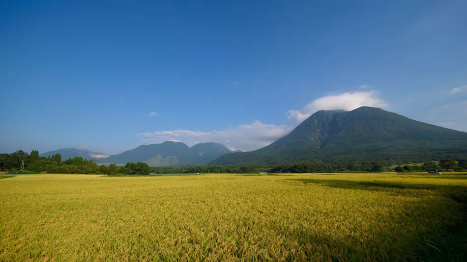 The Sense of Wonder Holistic Glamping
