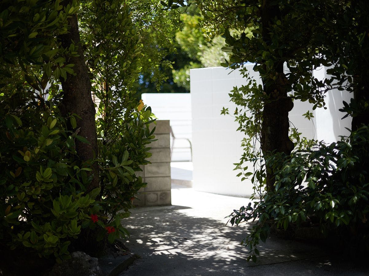 【外観】フクギ並木