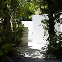 【外観】フクギ並木