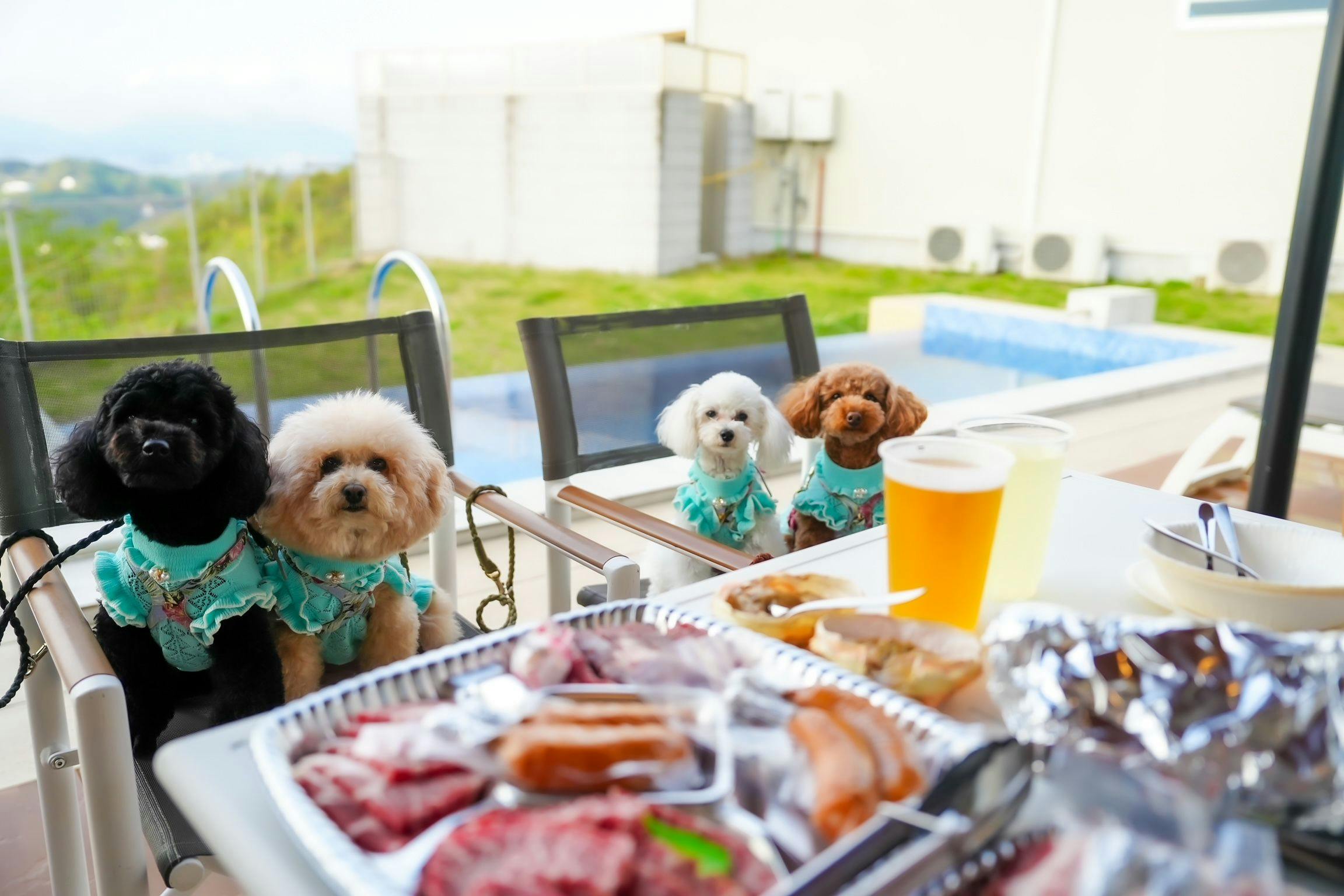 ワンちゃん宿泊可能部屋