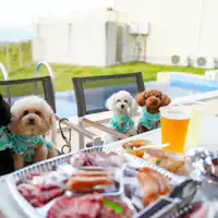 ワンちゃん宿泊可能部屋