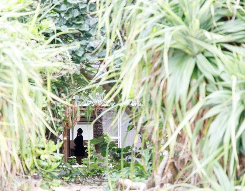 「海亀ビーチの宿」自然に包まれた宿