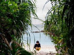 伝泊　徳之島（天城町）&nbsp;施設全景